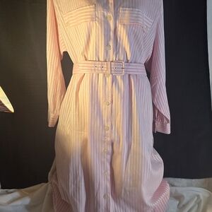 Striped Pink Long-Sleeve Shirt Dress with Belt